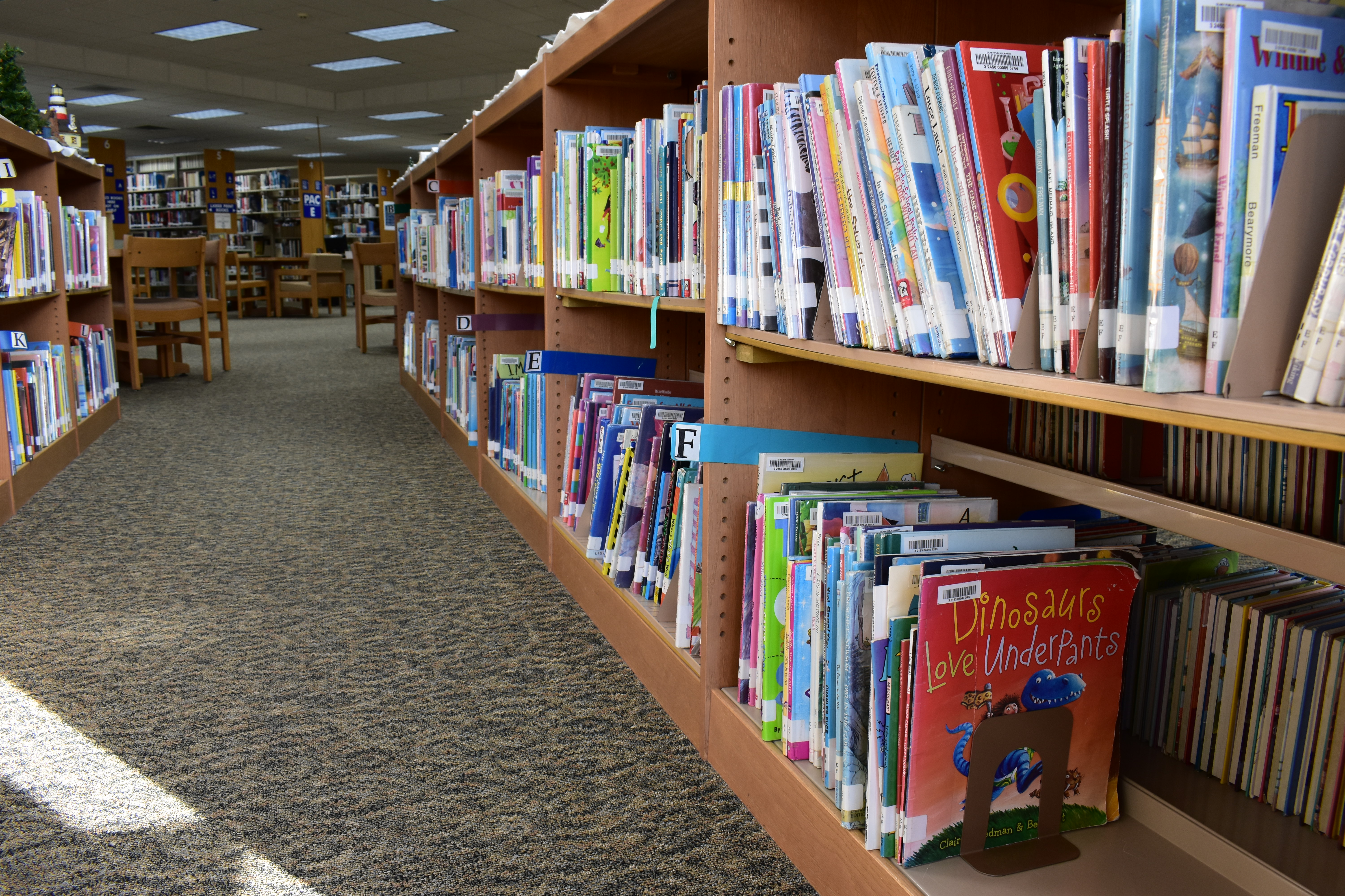 Picture of the Inside of the lIbrary