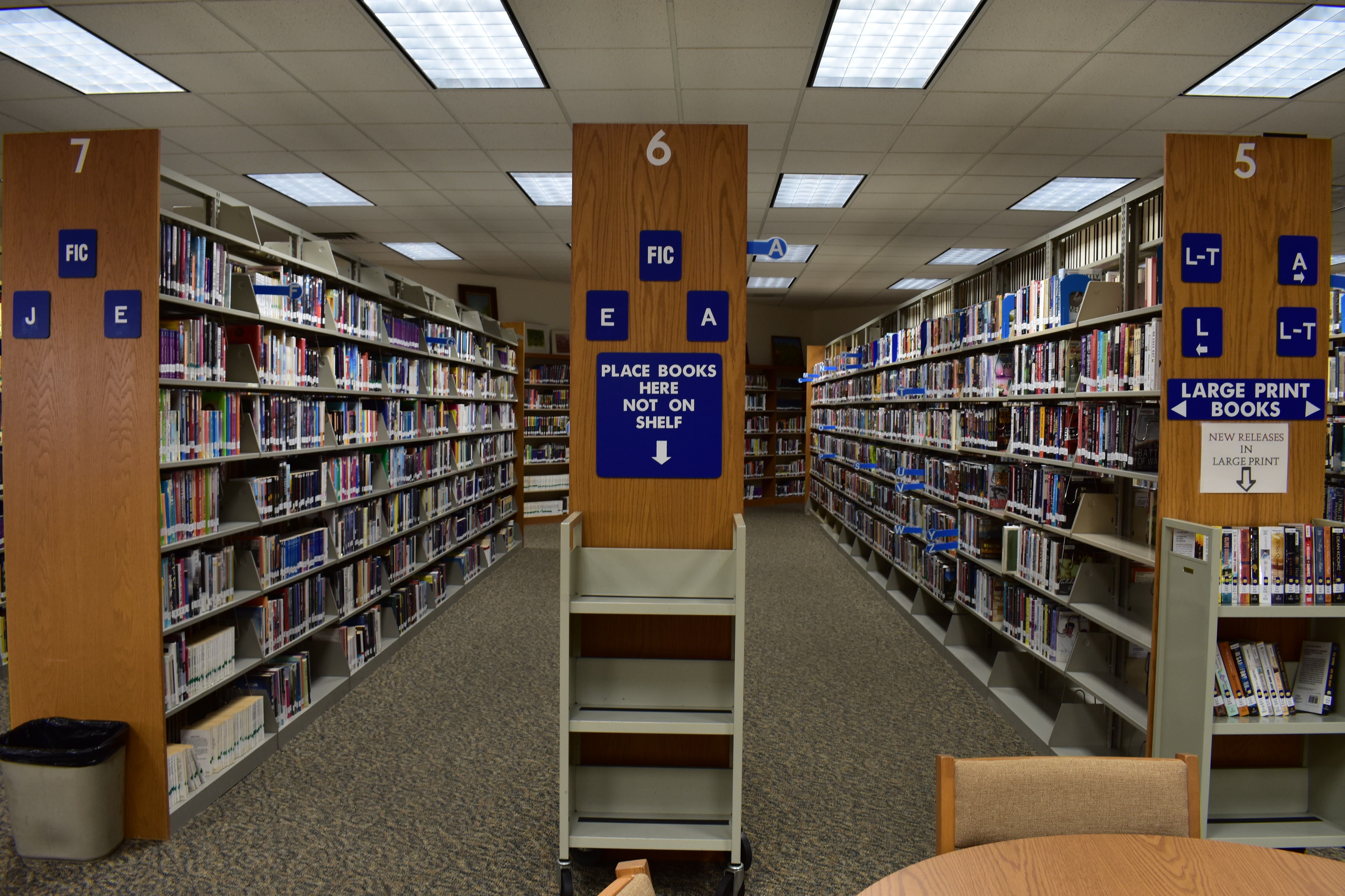 Picture of the Inside of the lIbrary 8