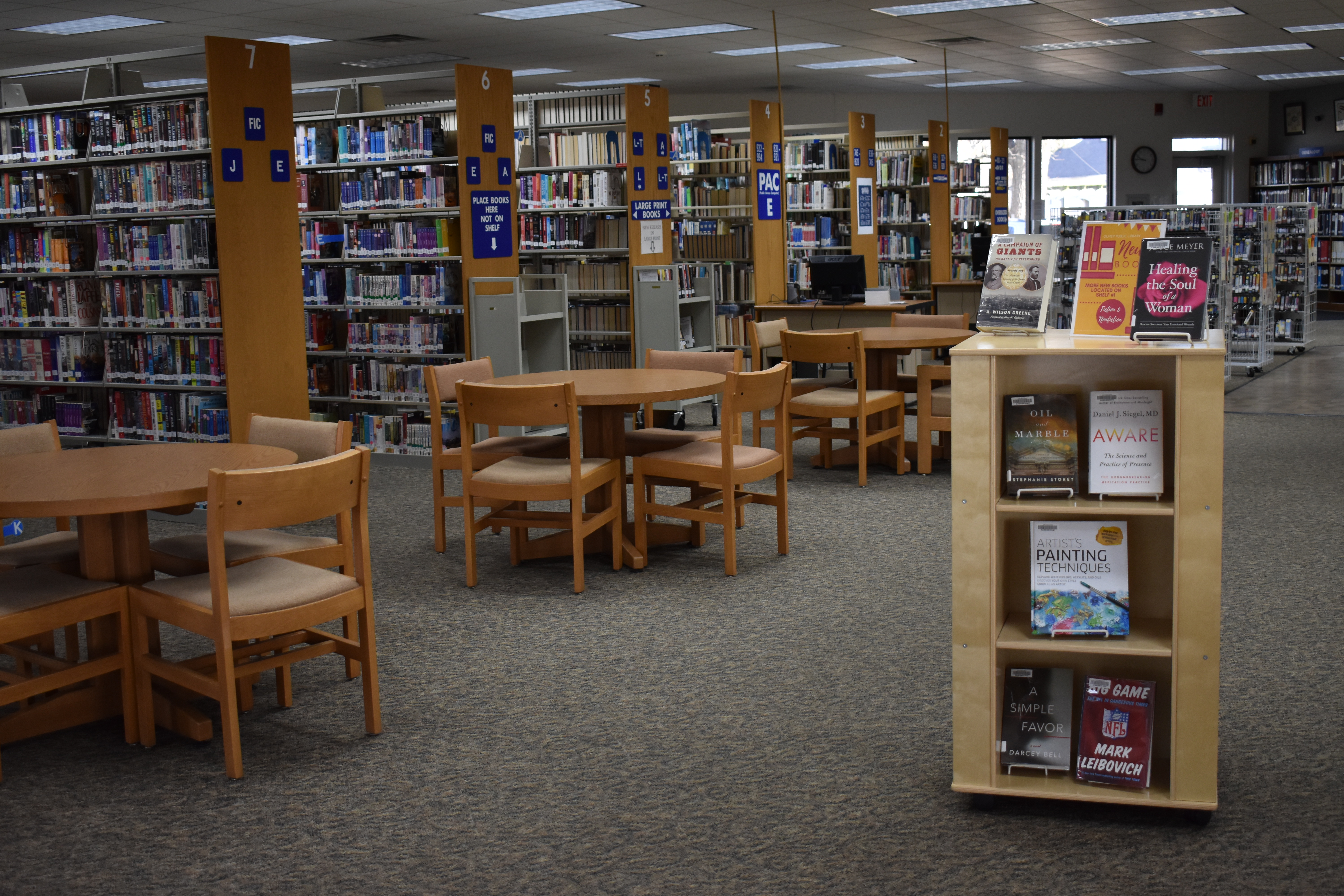 Picture of the Inside of the lIbrary 13