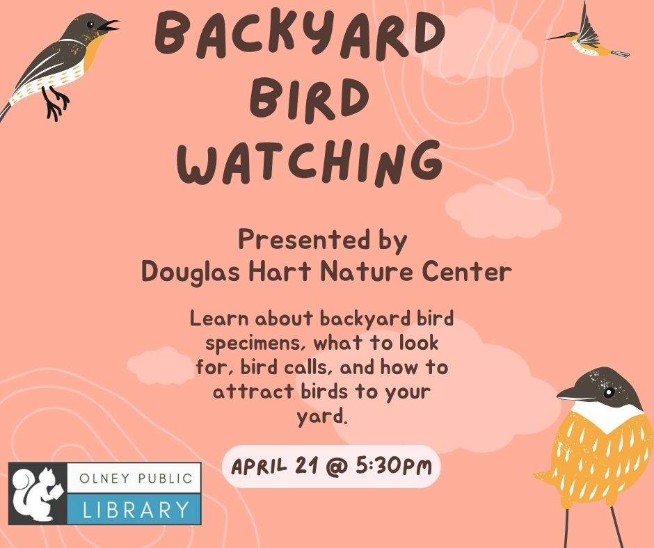 Backyard Bird Watching at Olney Public Library