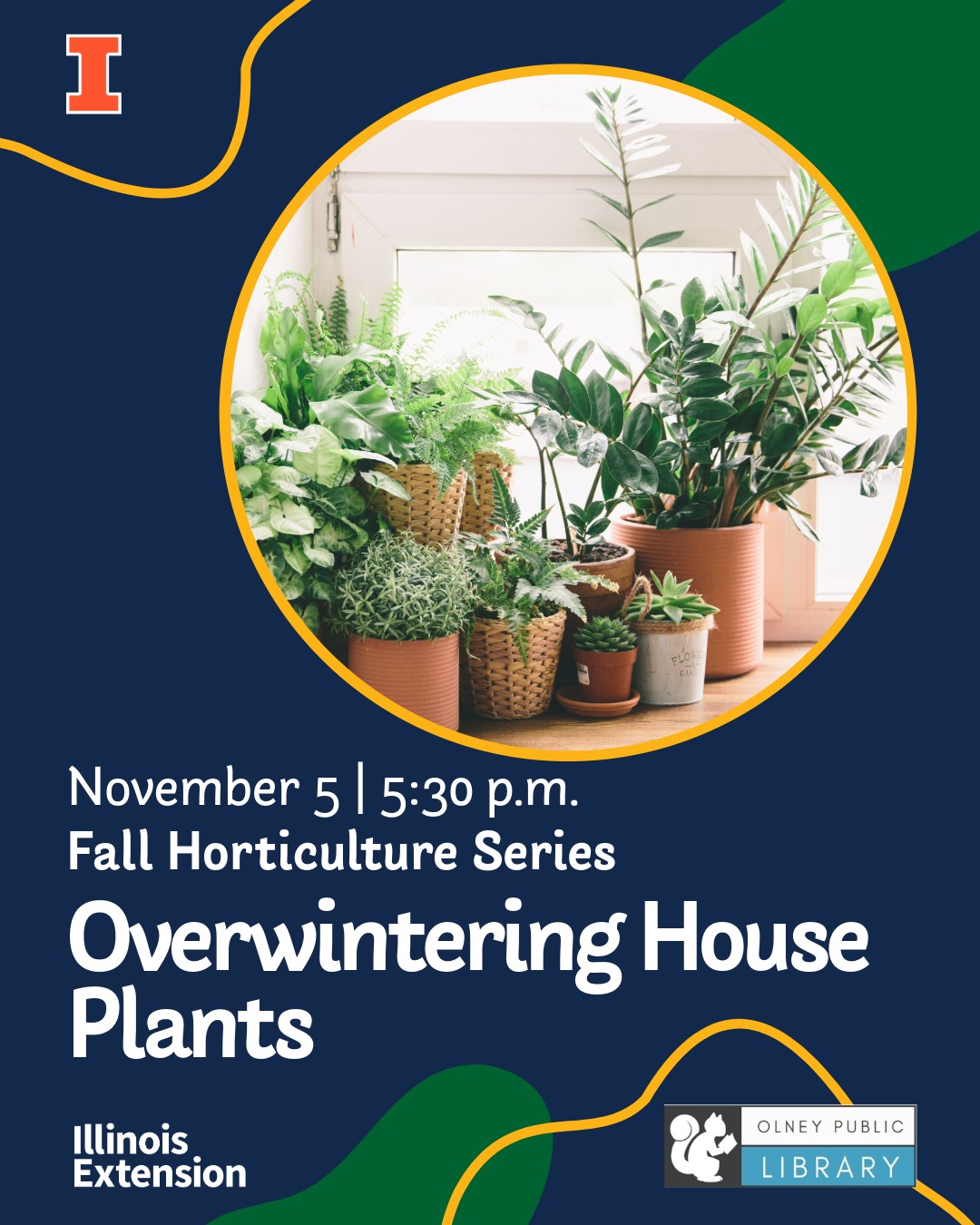 Picture of house plants on windowsill.