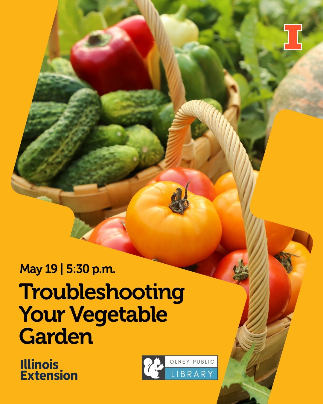 Images of veggies in a basket.